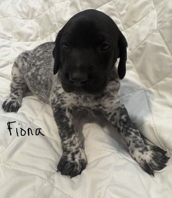 Fiona