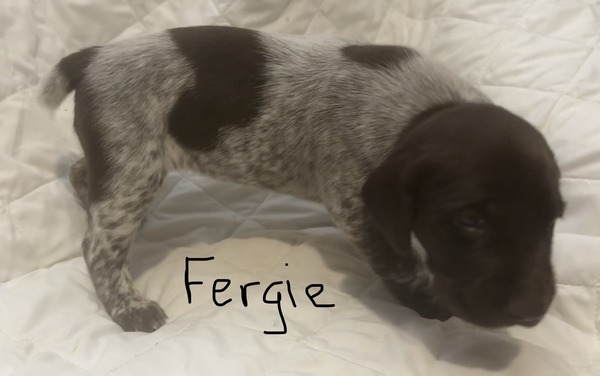 Fergie