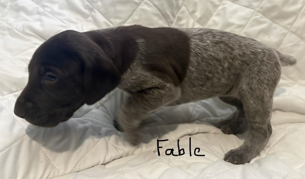 Fable