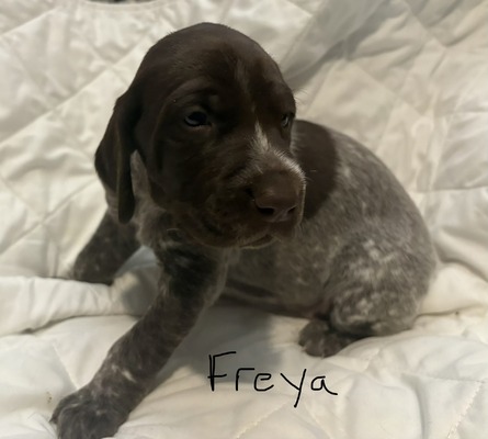 Freya