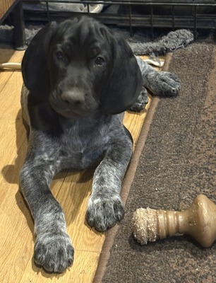 Fiona