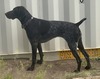 Mountain Breeze's Elsa (Elsa)