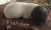 Fletcher