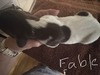 Fable