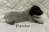 Fletcher